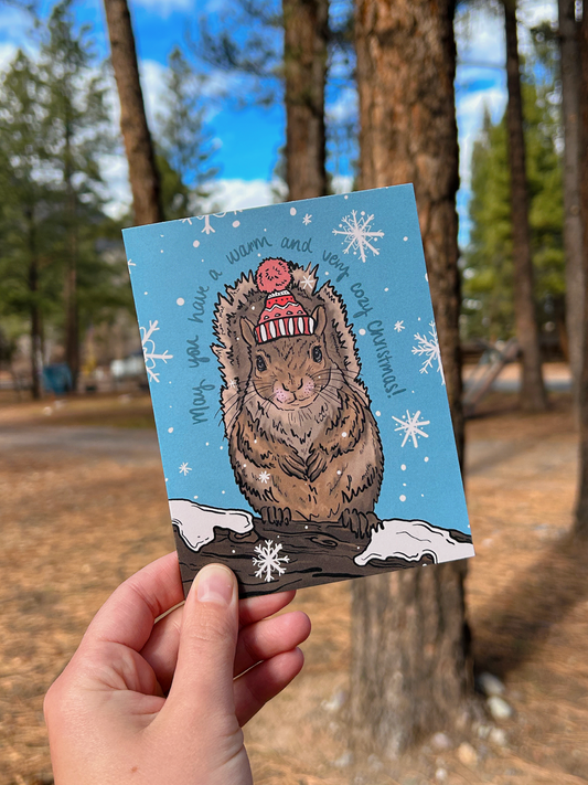 Christmas Card Bundle