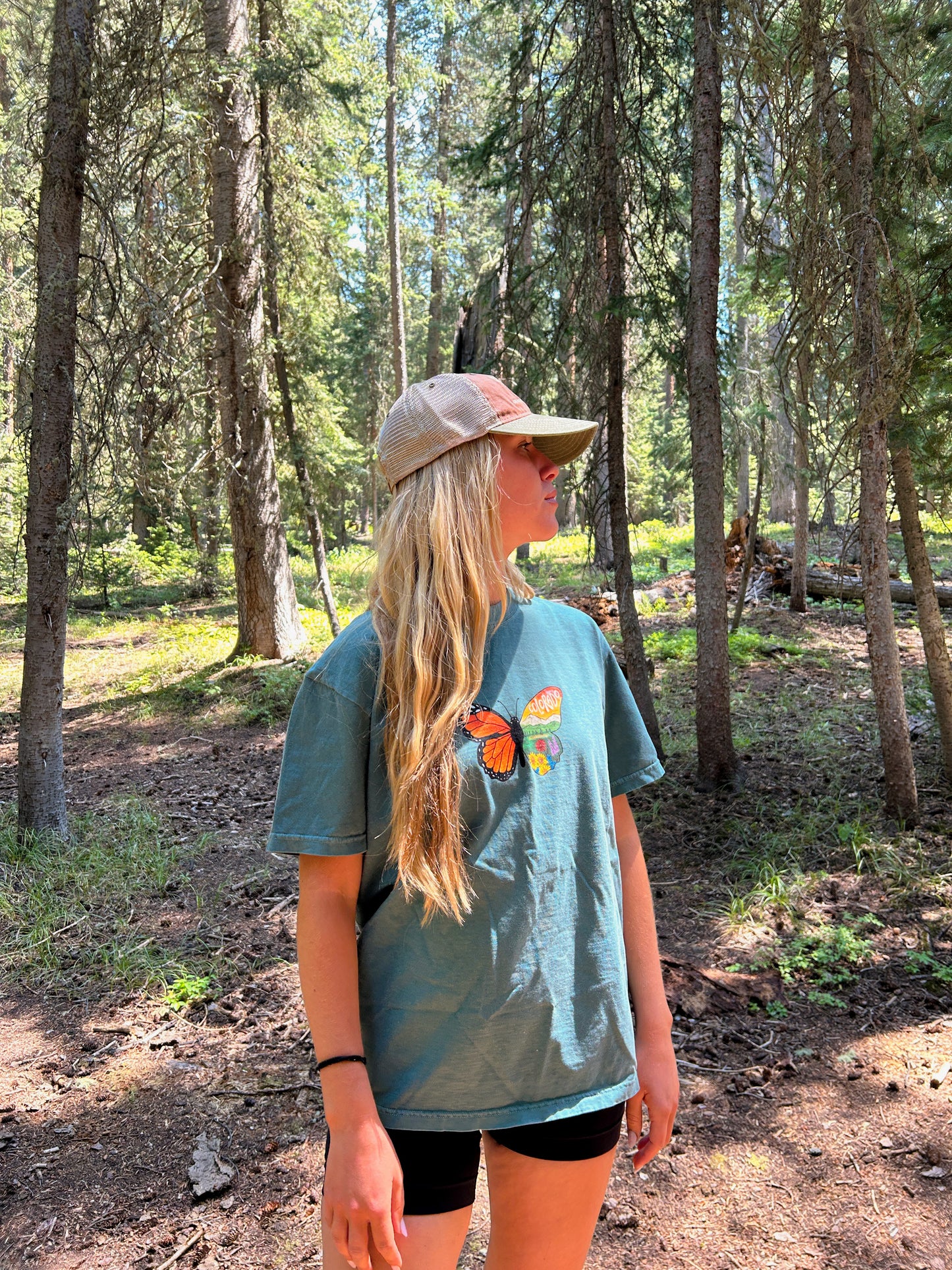 Greetings From Colorado Tees