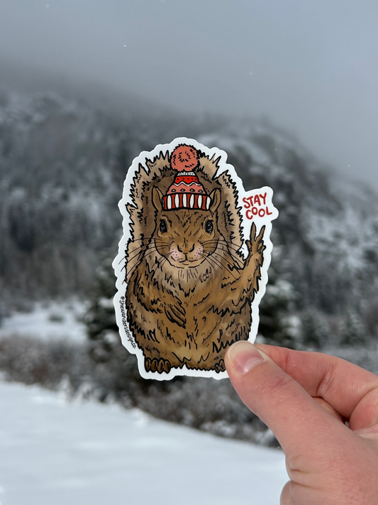 Stay Cool Squirrel Stickers